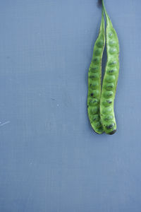 High angle view of leaf on table