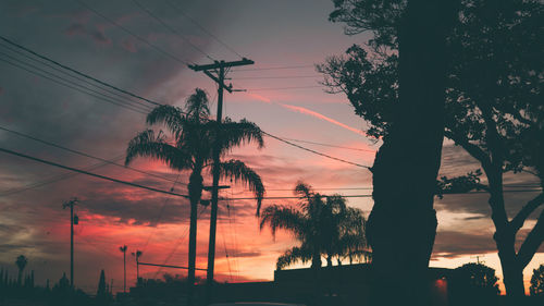 Silhouette trees and electricity pylon against sky during sunset