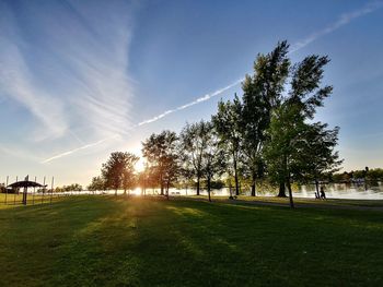 Trees on field against sky