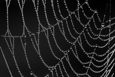 Full frame shot of illuminated spider web