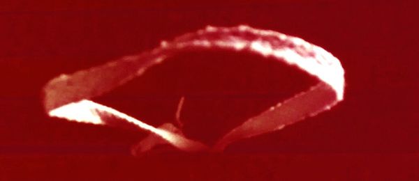 Close-up of red object