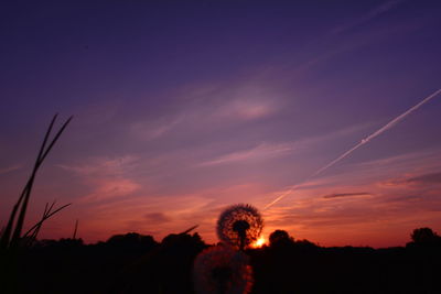 Low angle view of silhouette trees against sky during sunset