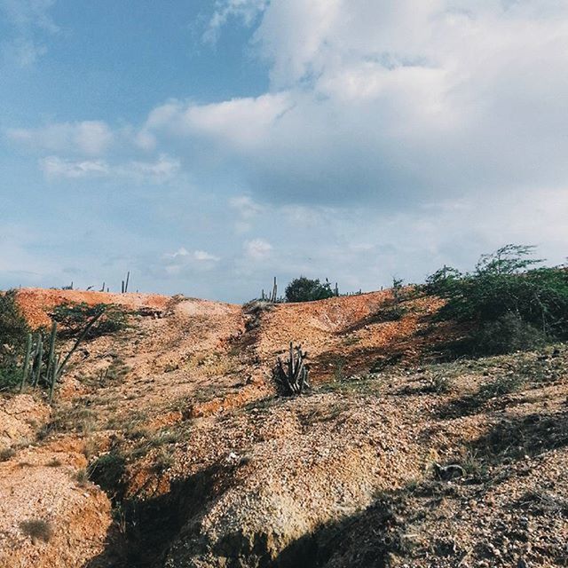 sky, landscape, tranquility, cloud - sky, tranquil scene, nature, scenics, beauty in nature, plant, cloud, day, non-urban scene, rock - object, field, tree, mountain, growth, remote, sunlight, outdoors