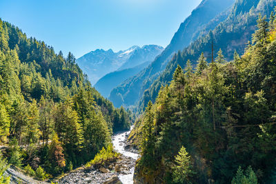 Panoramic view of trees and mountains against sky