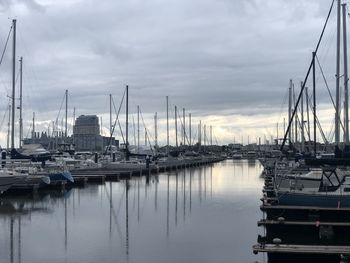 Sailboats moored in harbor