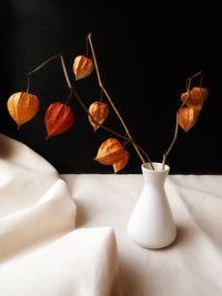 Close-up of white roses on table