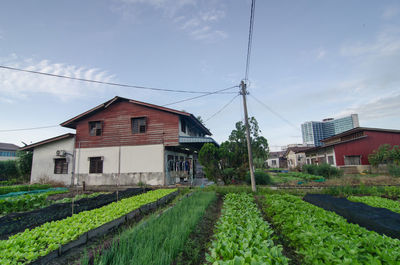 Houses by plants against sky