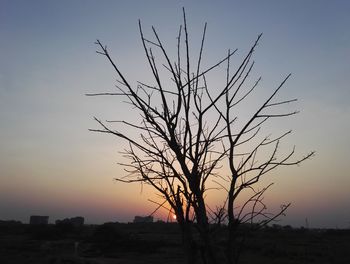 Silhouette tree against sky during sunset