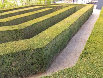 Scenic view of formal garden