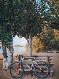 Bicycle parked by tree trunk