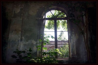 Built structure with trees in background