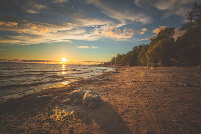 View of beach at sunset