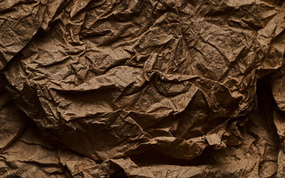 Full frame shot of leaf