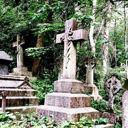 Panoramic shot of old ruins