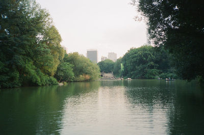 River with trees in background