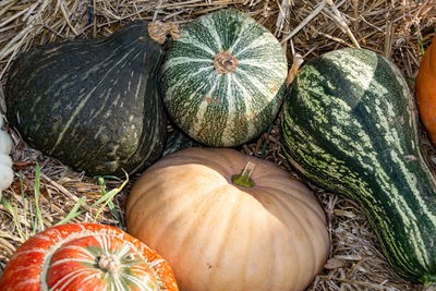 High angle view of pumpkins in market