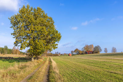 Dirt road to cottage on a hill in a beautiful autumn landscape