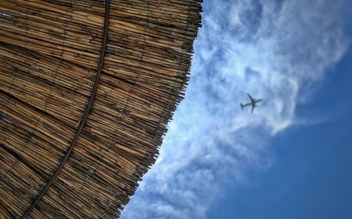 Low angle view of lizard on wood against sky