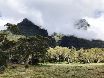 Scenic view of landscape against sky