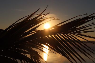 Low angle view of silhouette palm trees against sky during sunset