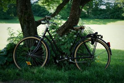 Bicycles on tree trunk in field