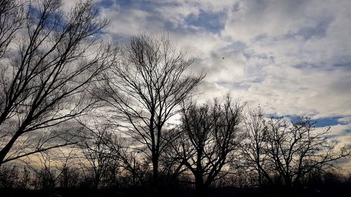 Low angle view of silhouette bare trees against sky