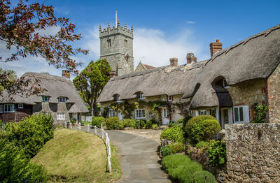 Buildings along trees