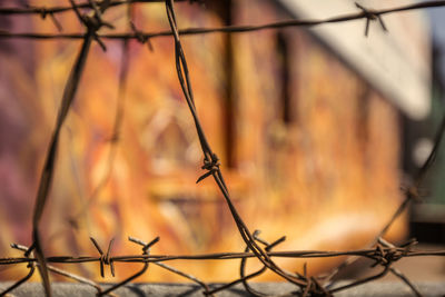 Close-up of barbed wire fence