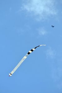 Low angle view of bird flying against sky