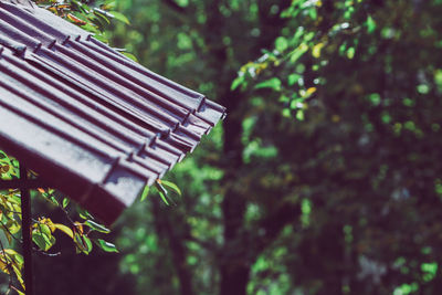 Low angle view of roof against trees