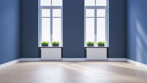 Potted plant by window at home