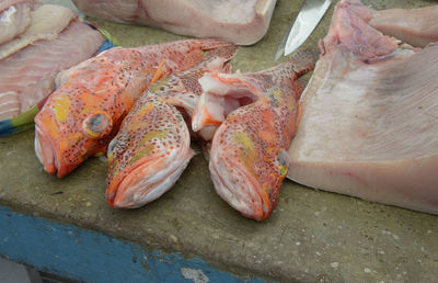 High angle view of fish for sale in market