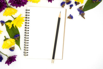 High angle view of flowering plant against white background