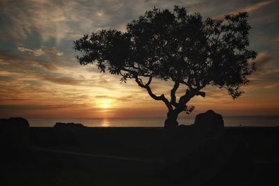 Silhouette tree by sea against sky during sunset