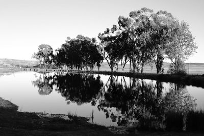 Trees by lake against sky