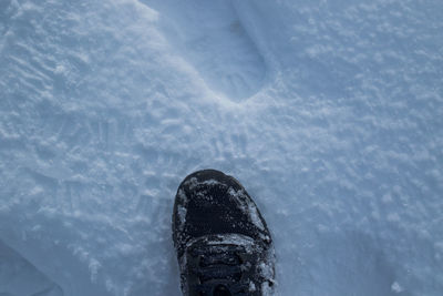 Close-up high angle view of snow