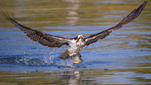 Close-up of kite taking off from lake