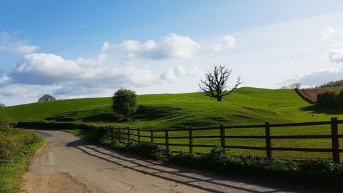 Scenic view of agricultural field against sky