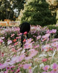 Woman sitting amidst pink flowers blooming on field in park