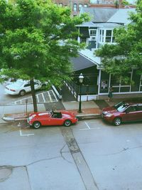 Cars on road against trees in city