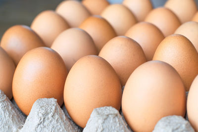 Close-up of eggs in row