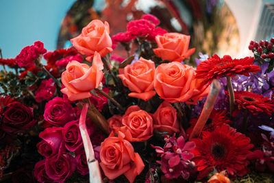 Close-up of red roses