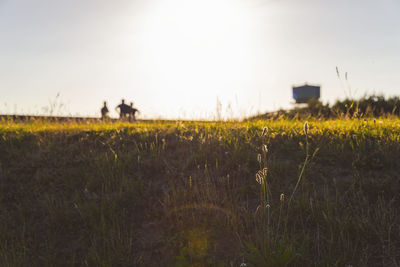 Scenic view of silhouette field against clear sky