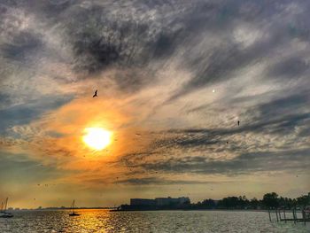 Seagull flying over sea against sky during sunset