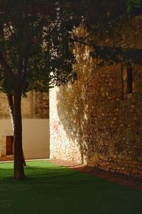 View of lawn by water