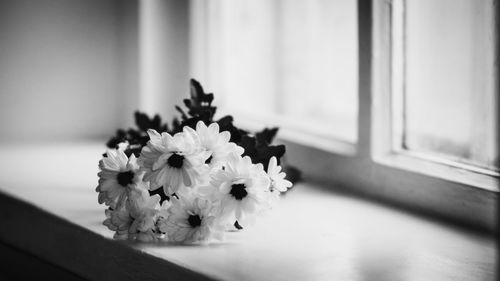 Close-up of flowering plant in vase