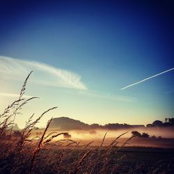 Scenic view of landscape against blue sky