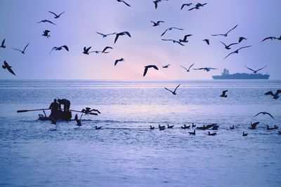 Silhouette birds flying over sea against sky