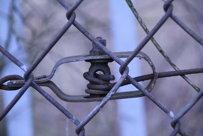 Close-up of rusty metal