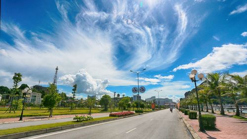 Street amidst trees against sky in city